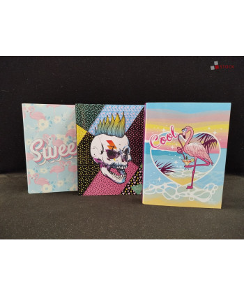 Lot de 30 classeurs - 1 carton