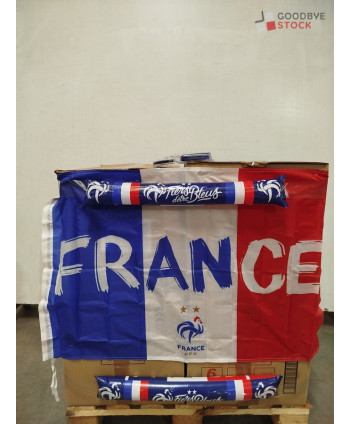 supporters EQUIPE DE FRANCE...