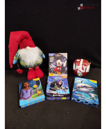 Livres de jeux DISNEY - 20...