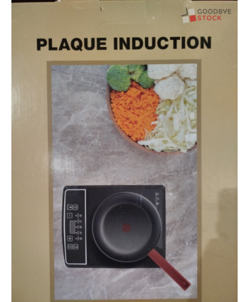 Plaque induction - 3 pièces