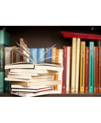 Livres - 12 cartons