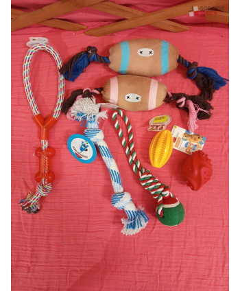 Jouets pour chien - 80 pièces